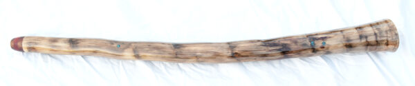 Didgeridoo  #643  Key: D - Image 4