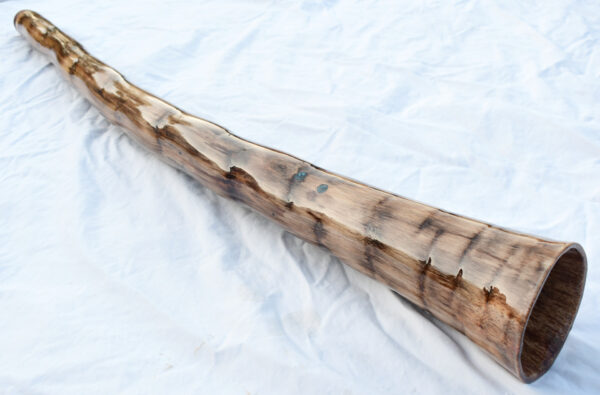 Didgeridoo  #643  Key: D - Image 5