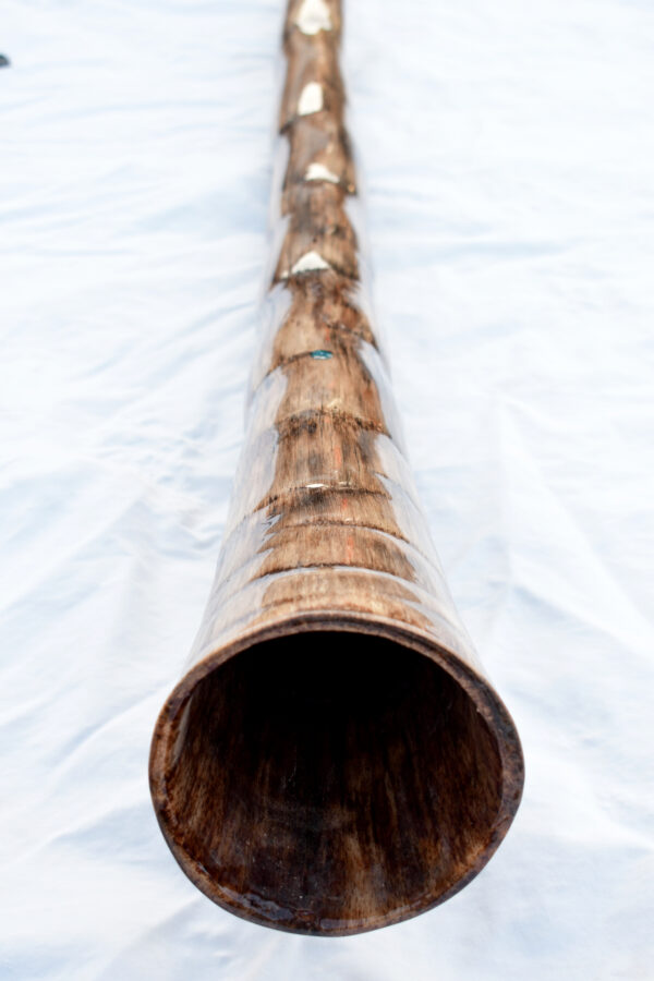 Didgeridoo  #643  Key: D - Image 7