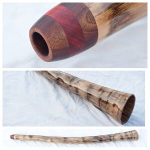 Didgeridoo  #643  Key: D