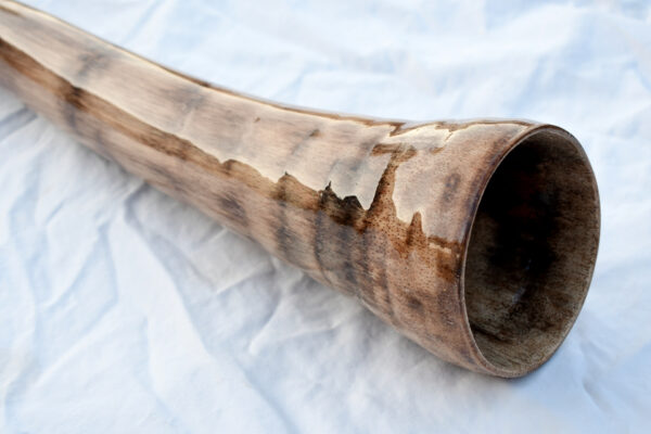 Didgeridoo #644  Key: E - Image 3
