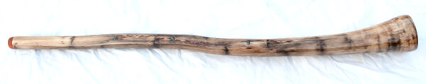 Didgeridoo #644  Key: E - Image 4