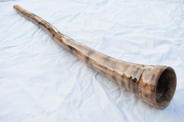 Didgeridoo #644  Key: E - Image 6