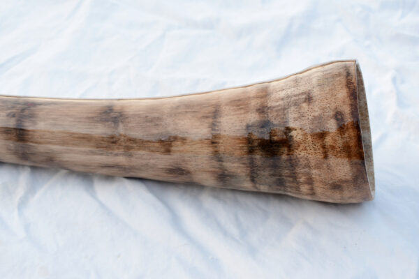 Didgeridoo #644  Key: E - Image 7