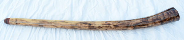 Didgeridoo #646  Key: D - Image 4