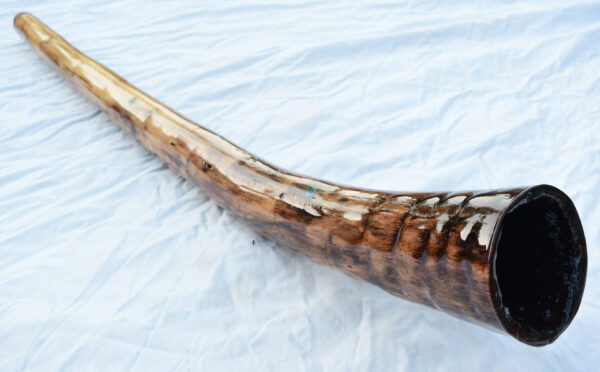 Didgeridoo #646  Key: D - Image 5