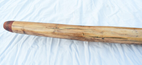 Didgeridoo #646  Key: D - Image 9
