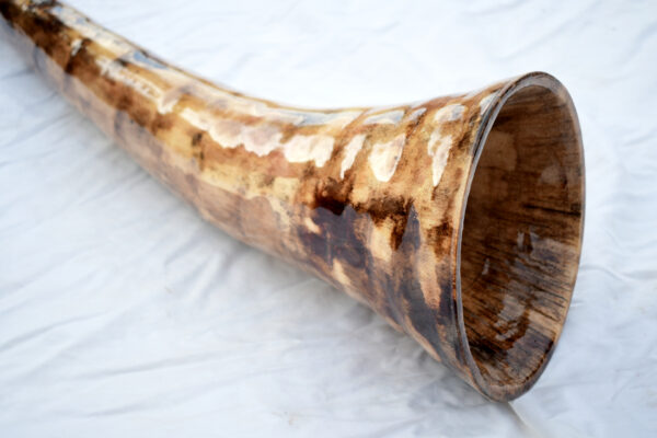 Didgeridoo #647  Key: D - Image 3