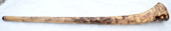Didgeridoo #647  Key: D - Image 4