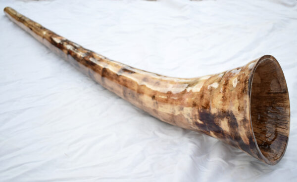 Didgeridoo #647  Key: D - Image 5