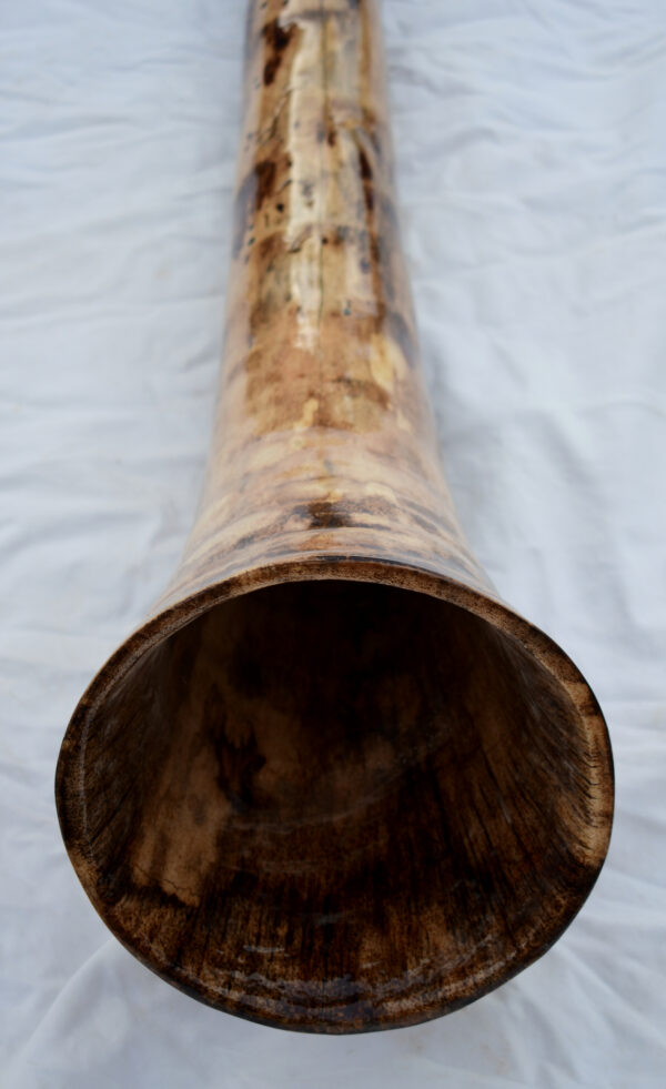 Didgeridoo #647  Key: D - Image 6