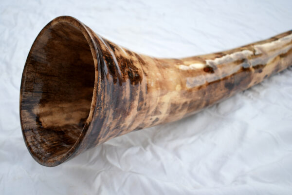 Didgeridoo #647  Key: D - Image 7
