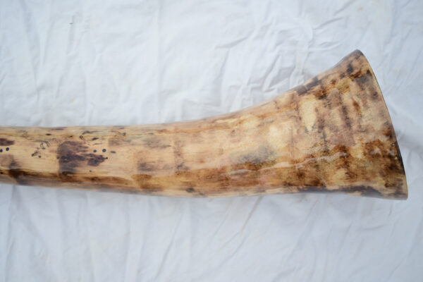 Didgeridoo #647  Key: D - Image 8