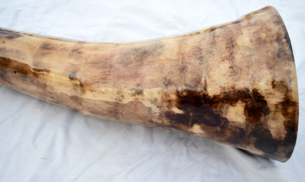 Didgeridoo #647  Key: D - Image 10