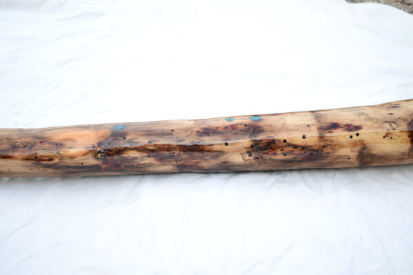 Didgeridoo #647  Key: D - Image 11