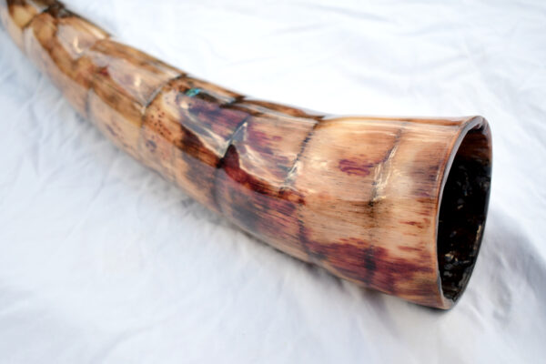 Didgeridoo #650  Key: D - Image 4