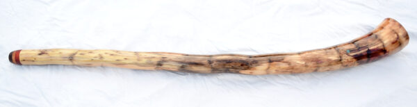 Didgeridoo #650  Key: D - Image 5