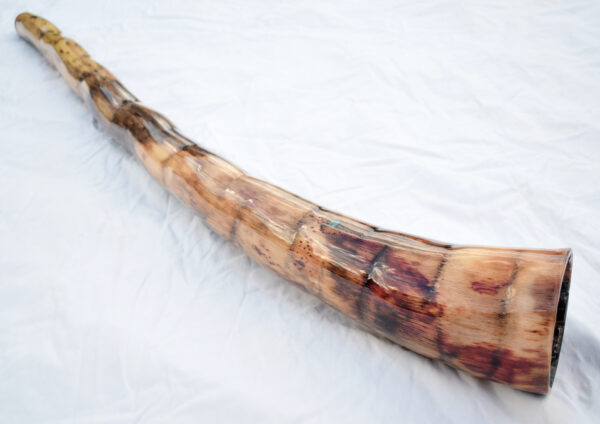 Didgeridoo #650  Key: D - Image 6