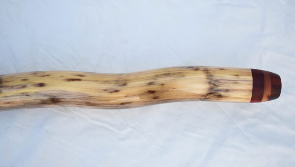 Didgeridoo #650  Key: D - Image 8