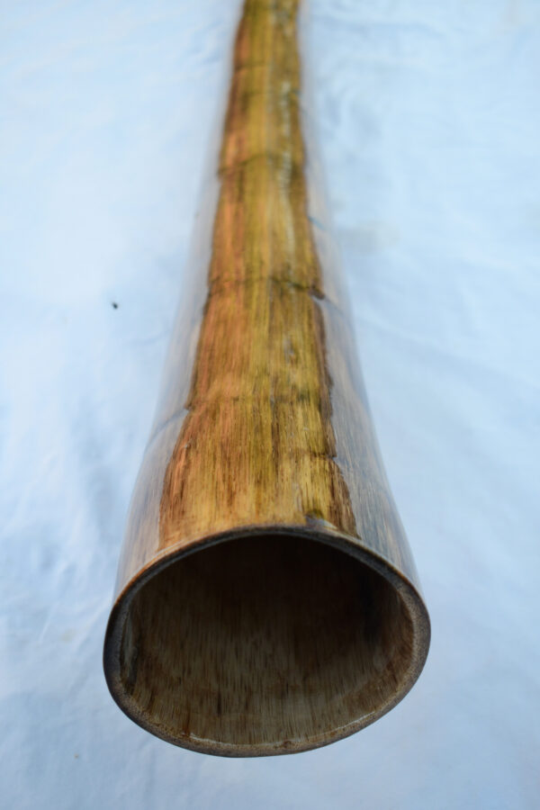 Didgeridoo #651  Key: G - Image 6
