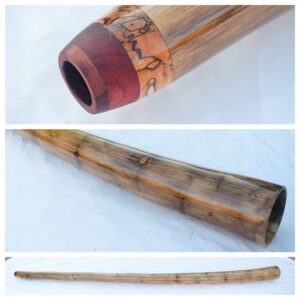 Didgeridoo #651  Key: G