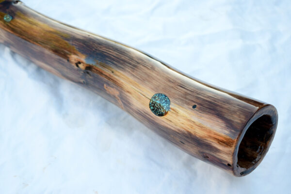 Didgeridoo #652  Key: C# - Image 3