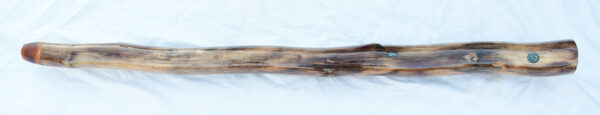 Didgeridoo #652  Key: C# - Image 4