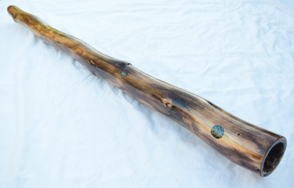 Didgeridoo #652  Key: C# - Image 5