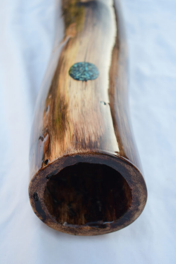 Didgeridoo #652  Key: C# - Image 6