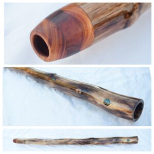 Didgeridoo #652  Key: C#