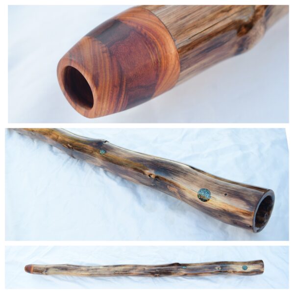 Didgeridoo #652  Key: C#