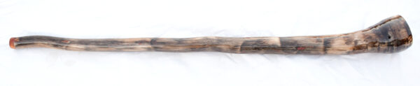 Didgeridoo #653  Key: F - Image 3