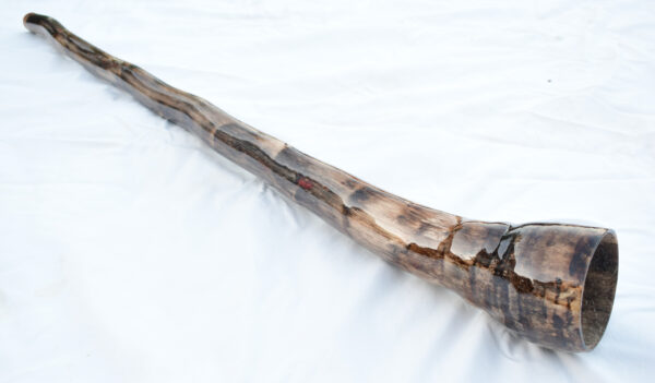 Didgeridoo #653  Key: F - Image 5