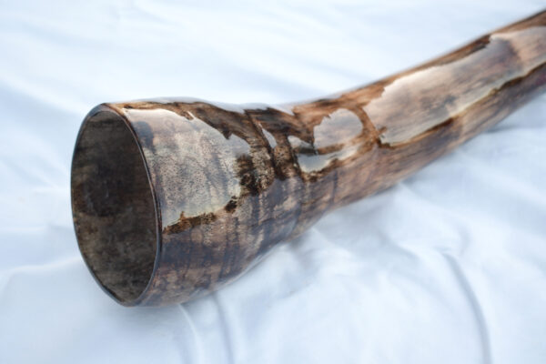 Didgeridoo #653  Key: F - Image 6