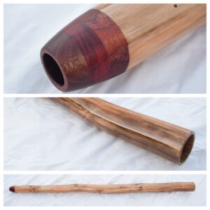 Didgeridoo #654 Key: A