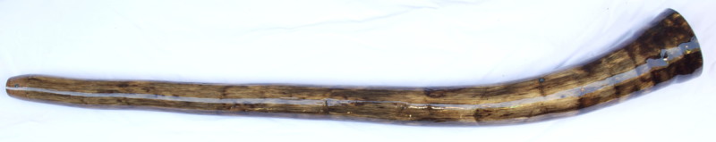 didgeridoo#161b