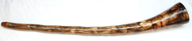 didgeridoo#163b