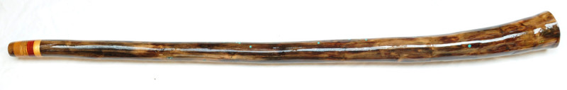didgeridoo#164b