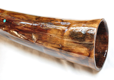 didgeridoo#164c