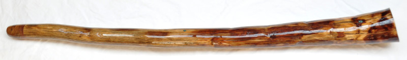 didgeridoo#165c