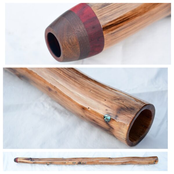 Didgeridoo #597  Key: A#