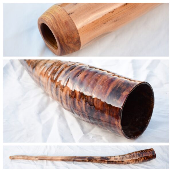 Didgeridoo #599  Key: C#