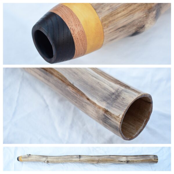 Didgeridoo #616  Key: C#