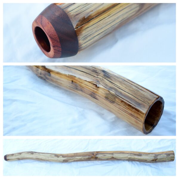 Didgeridoo #618  Key: C#