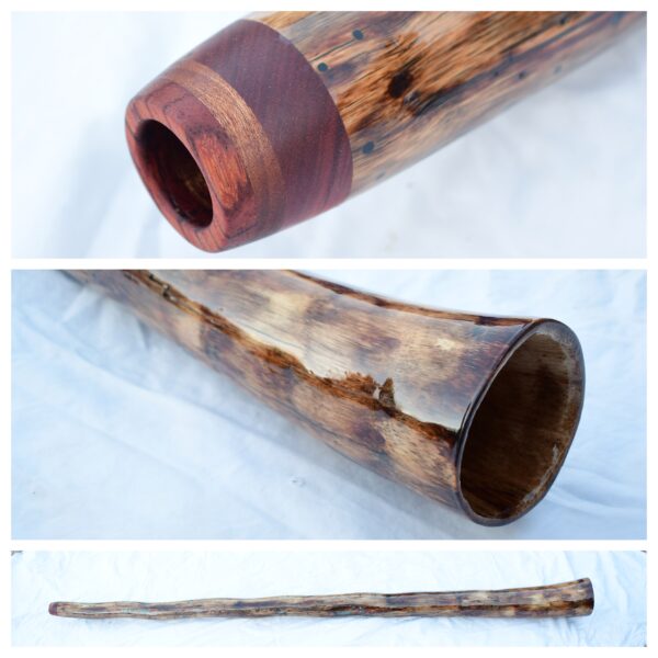 Didgeridoo #623  Key: C