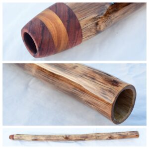 Didgeridoo #638  Key: C#/C