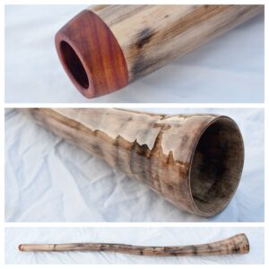 Didgeridoo #644  Key: E