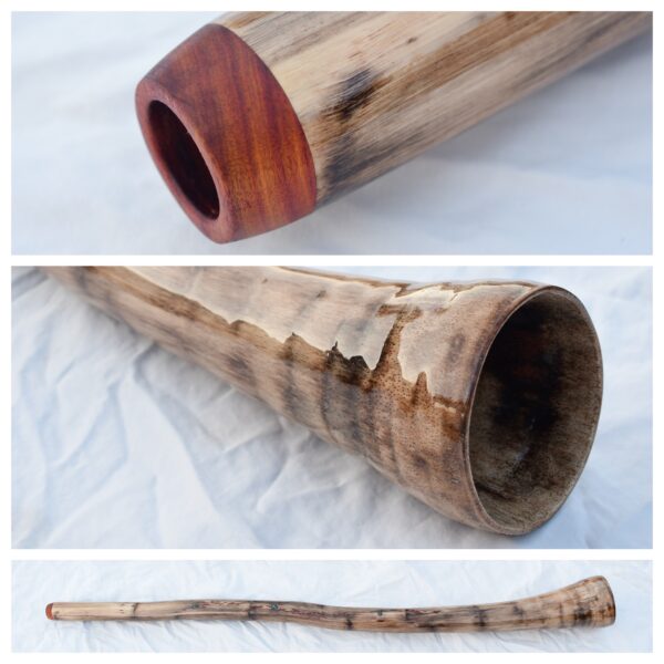 Didgeridoo #644  Key: E