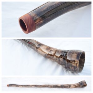 Didgeridoo #653  Key: F