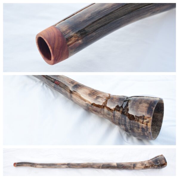Didgeridoo #653  Key: F